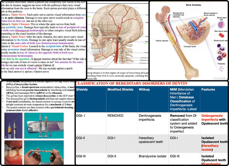 Contents and study materials